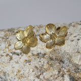 Boucles d’oreilles Éclats de Pollen