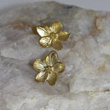 Boucles d’oreilles Éclats de Pollen