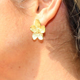 Boucles d’oreilles Éclats de Pollen